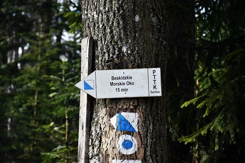 Beskidzkie Morskie Oko zaprasza turystów