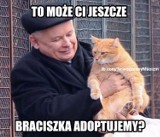 [MEMY] 500+ ma już ponad rok! Internet żartuje, zobaczcie śmieszne obrazki