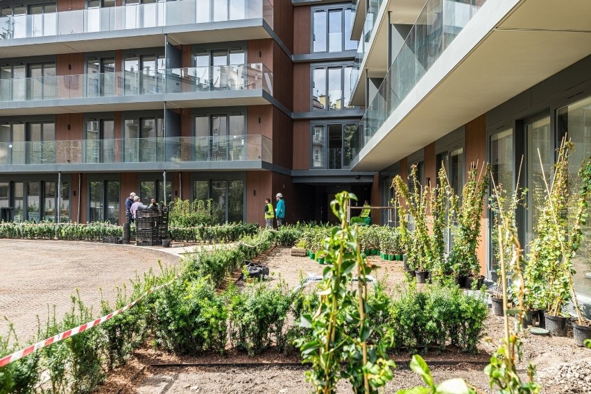 Kraków. Sąd unieważnił zgodę na budowę apartamentowca pod Wawelem. Kto za to odpowie? Urząd nie poczuwa się do winy [ZDJĘCIA, WIZUALIZACJE]