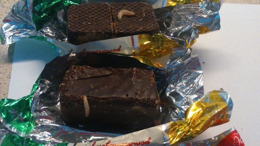 Galaretki w czekoladzie z larwami