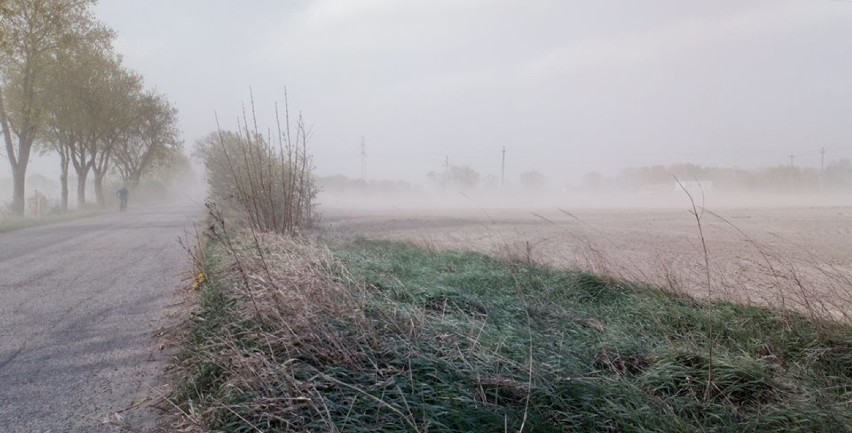 Burza pyłowa nad Wielkopolską to zapowiedź suszy rolniczej! 