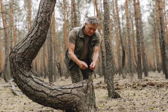 Paweł Mrowiński, dyrektor Ośrodka Edukacji Przyrodniczo - Leśnej zachęca do odwiedzenia tańczącego lasu w gminie Brody.