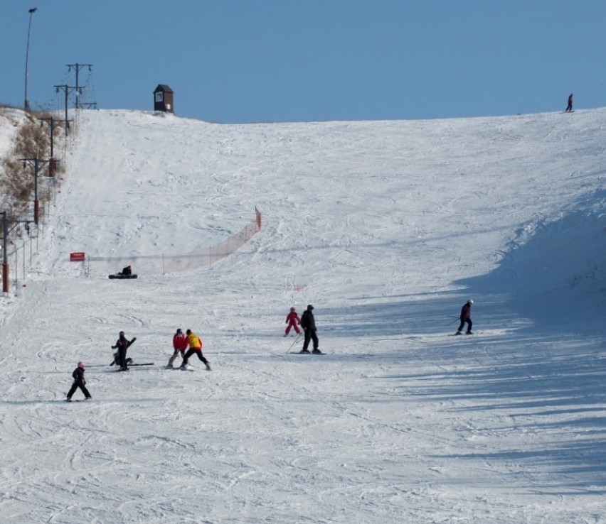 Na stacji narciarskiej Cisowa są dwie trasy; łatwa i średnia