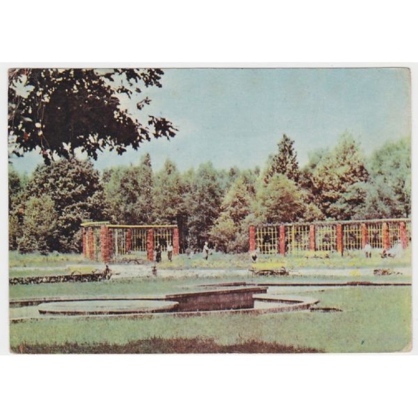 Park Zielona - 1964 r.