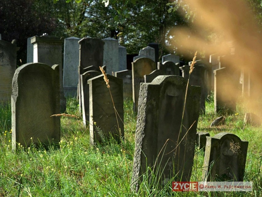 Cmentarz żydowski w Koźminie