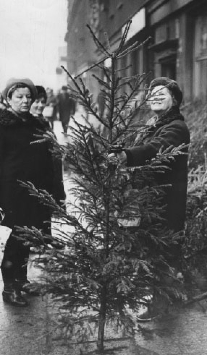 Jak wyglądały Święta Bożego Narodzenia w PRL? Szał zakupów, choinki, ozdoby [ARCHIWALNE ZDJĘCIA]