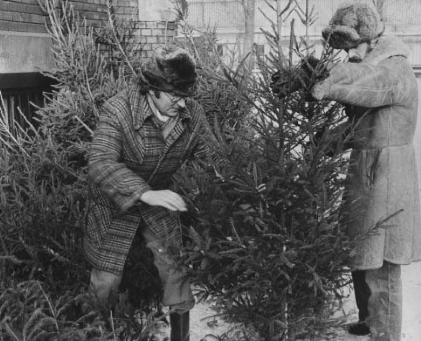 Jak wyglądały Święta Bożego Narodzenia w PRL? Szał zakupów, choinki, ozdoby [ARCHIWALNE ZDJĘCIA]