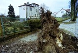 Wichura na Pomorzu powaliła drzewa i uszkodziła budynki