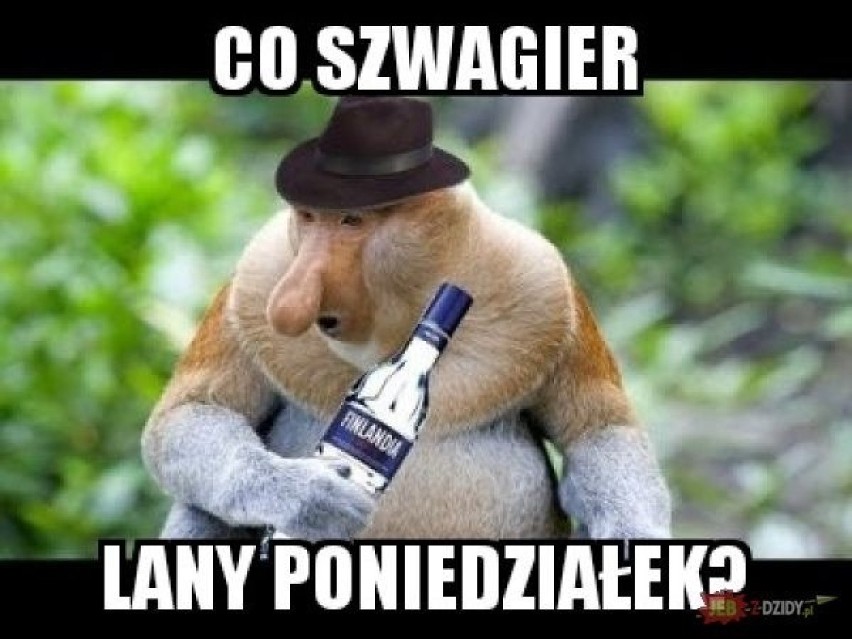 Widzieliście już zabawne memy wielkanocne? Zebraliśmy dla...