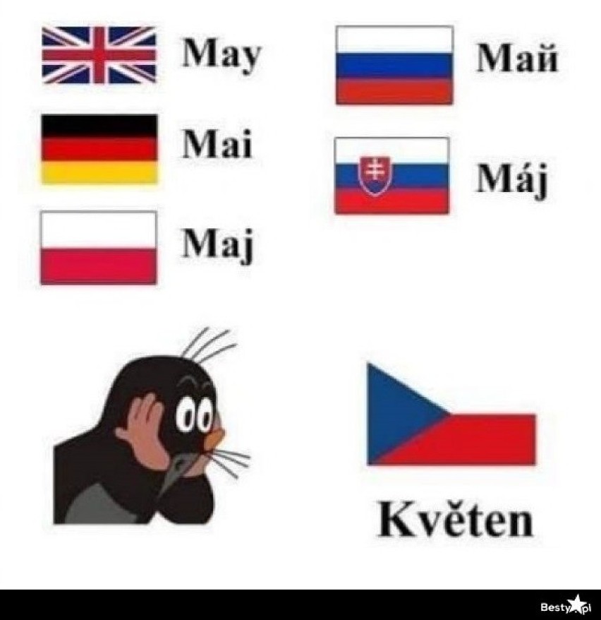 Zobacz czeskie memy! Są lepsze niż nasze, polskie? 