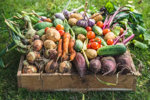 Sprawdź aktualną listę sezonowych owoców i warzyw