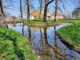 Niecałe 50 kilometrów jazdy samochodem z Nowej Soli, a potem bardzo długi spacer. Poznajcie park w Laskach