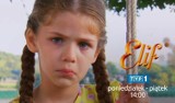 Serial Elif odcinek 820. Kerem jest pod wielkim wrażeniem Süreyyi. Co się wydarzy? [streszczenie, online serial - Elif - 21 września 2020]
