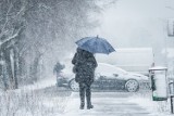Dębica i sąsiednie powiaty. IMGW ostrzega: Nadchodzą intensywne opady śniegu
