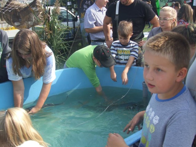 Piknik naukowy w Chodzieży w 2015r.