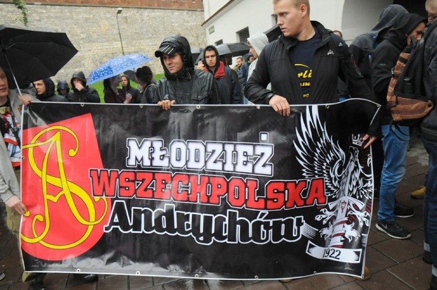 Kraków. Marsz przeciwko imigrantom  [WIDEO, ZDJĘCIA]