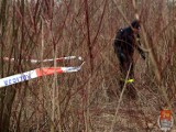 Szczątki ludzkie znaleziono na Białołęce przy Kępie Tarchomińskiej [WIDEO]