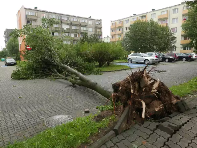 Skutki nawałnicy z 2017 roku w Żninie. Zdjęcia zrobione o poranku po wichurze.