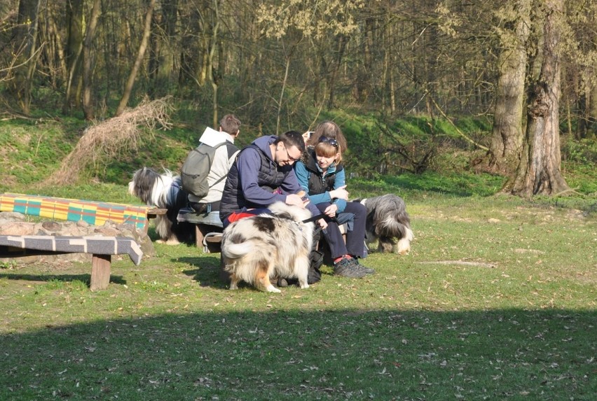 Wielkopolski Dogtrekking na Łęgach Mechlińskich już po raz...