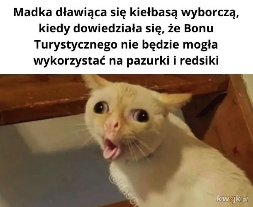 500+ na wakacje! MEMY o polskim bonie turystycznym! Zobacz najlepsze śmieszne obrazki 