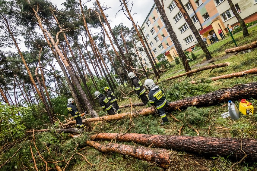 - Do usuwania skutków wczorajszej nawałnicy wyjeżdżaliśmy...