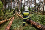 Burza nad Włocławkiem i regionem. Strażacy interweniowali 15 razy