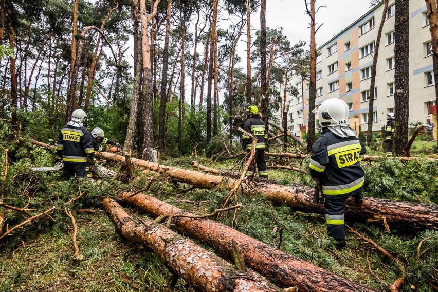 - Do usuwania skutków wczorajszej nawałnicy wyjeżdżaliśmy...