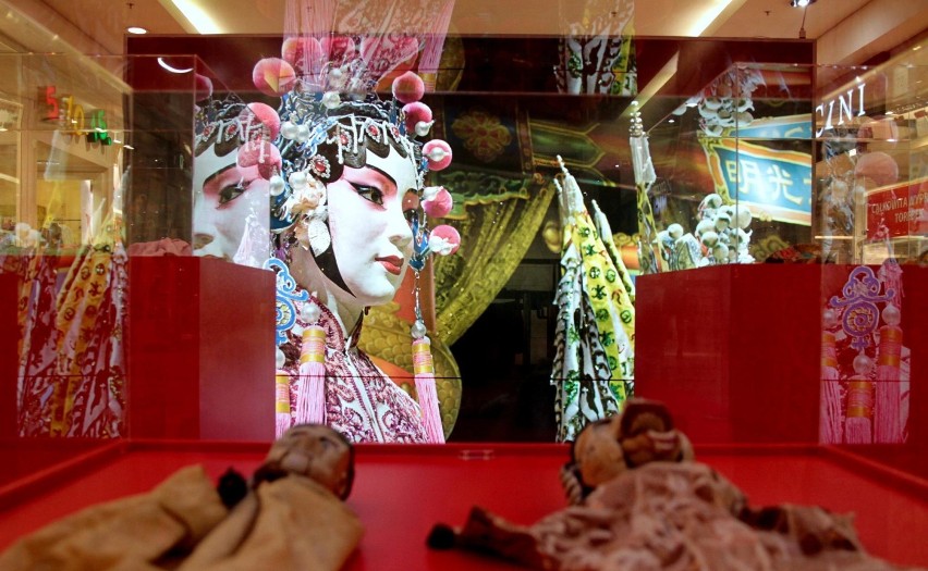Zakochaj się w perle Azji, czyli orientalna wystawa w Krakowie [ZDJĘCIA]