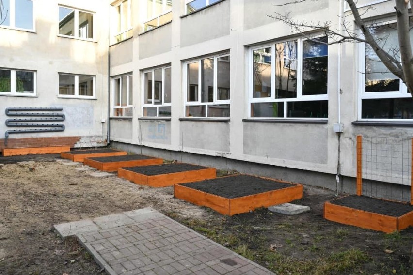 Ogrody warzywne na terenie sycowskich szkół? 