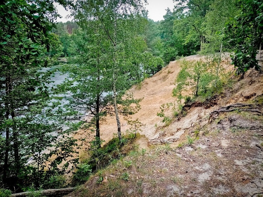 Piękna dzika plaża w Janowie. Wygląda uroczo latem, wiosną,...