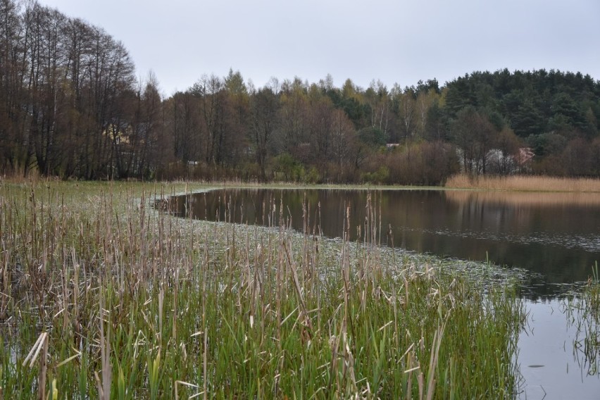 Bushcraft w powiecie wejherowskim. W tych miejscach możecie zanocować w lesie