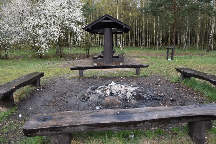 Bushcraft w powiecie wejherowskim. W tych miejscach możecie zanocować w lesie