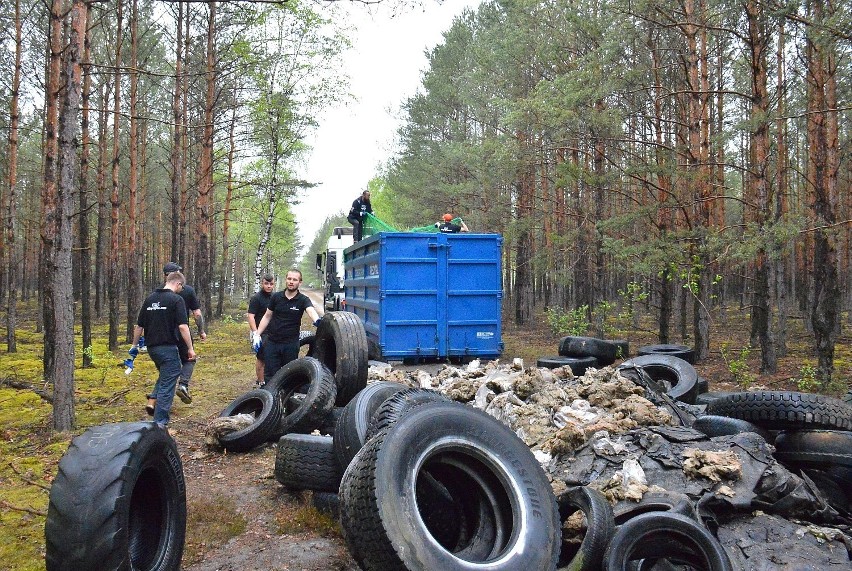 Dwie firmy zajęły się uprzątnięciem i utylizacją opon...