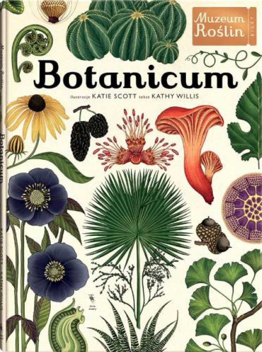 „Botanicum” to pięknie wydane i zilustrowane źródło wiedzy o...