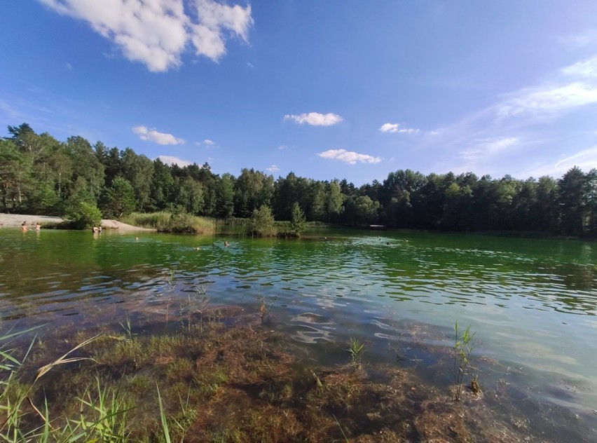 Turkusowa woda i plaża w sercu lasu tylko 20 km od Zgorzelca. Idealny cel rowerowej wycieczki i letniego odpoczynku
