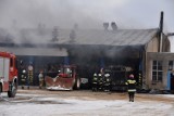 Pożar w hali garażowej MZK Wejherowo. Na miejscu działało 14 zastępów straży pożarnej| ZDJĘCIA