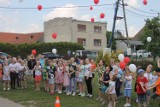 Ubiegłoroczny Piknik Rodzinny z okazji Dnia Dziecka [ZDJĘCIA]                                                   