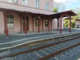 Stacja Krzewina Zgorzelecka to jedyne miejsce w Polsce skąd odjeżdżają tylko niemieckie pociągi. Co warto tu zwiedzić?