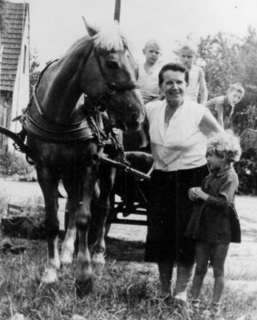 Rok 1955. Stanisława „Mama” Jabłońska z koniem o imieniu...