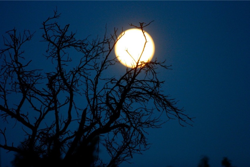 Wyjątkowa pełna księżyca już 14 listopada. Co nas czeka?