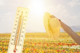 Jaka jest prognoza pogody na 15 sierpnia 2023 w Kętrzynie? Jakie święta obchodzimy wtedy?