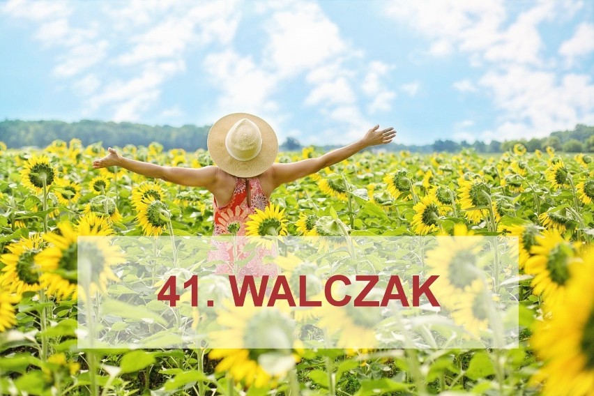 41. Walczak -  22 097
42. Rutkowska - 22 091
43. Michalak -...