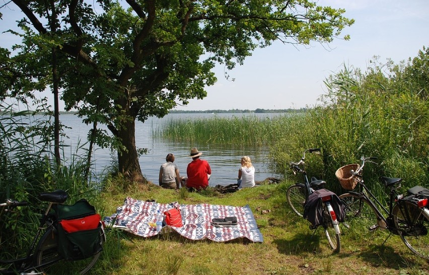 Wycieczkę zaczynamy w Legionowie. Już od Wieliszewa szlak...