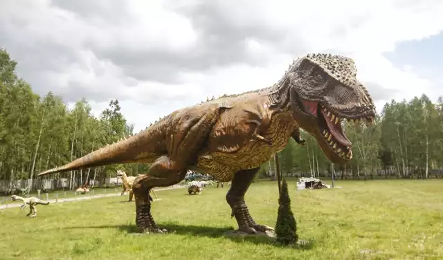 Dinozaury w Kolbuszowej, czyli Jurajski Park Brzezóvka, otwiera się w sobotę, 22 maja. Zobaczcie, jak wygląda.