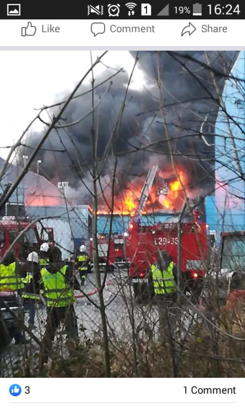 Wielki pożar firmy Sun Garden przed Turkiem. W akcji strażacy z Ostrowa Wielkopolskiego i Kalisza [ZDJĘCIA + WIDEO]