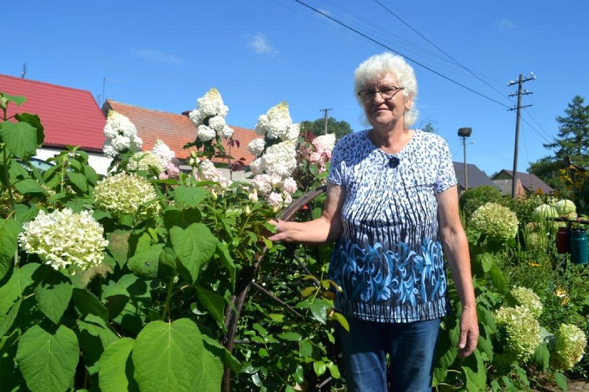 Maria Twardowska z Szamot i jej bajkowy ogród. Czy nie jest tu jak w raju? 