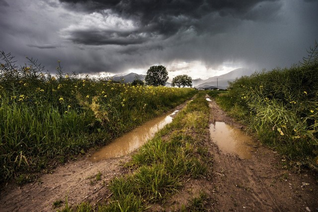 Meteorolodzy nie zapowiadają dziś opadów deszczu. Można śmiało wybrać się na spacer. Sprawdź prognozę opadów na najbliższe 10 dni.