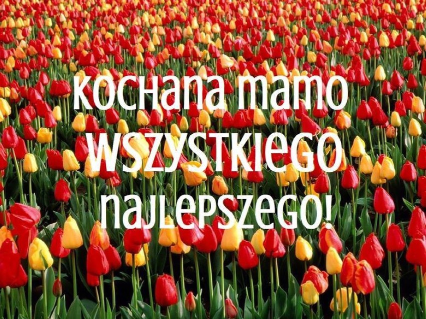 Życzenia na Dzień Matki 2018: SMS, wierszyki. Złóż swojej mamie życzenia!