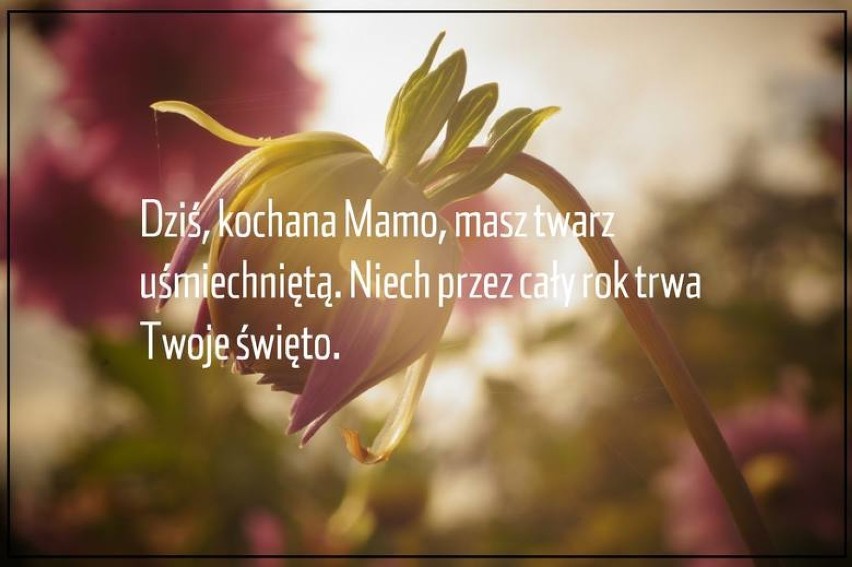 Życzenia na Dzień Matki 2018: SMS, wierszyki. Złóż swojej mamie życzenia!