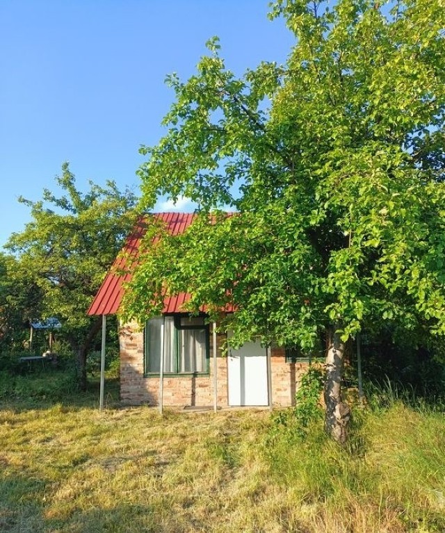 ROD ZWIĄZKOWIEC w Zielonej Górze
Cena: 19 999 zł 
Powierzchnia: 550 m²
Cena za m²: 36.36 zł/m²

TUTAJ: LINK